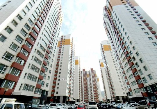 image_1